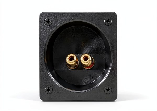 Belva 12-Inch Car Subwoofer Box Black MDF Construction-1